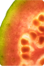 Guava