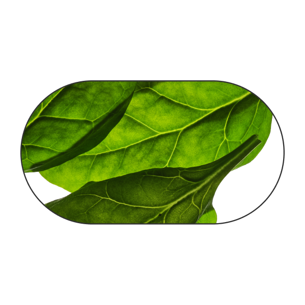 Spinach